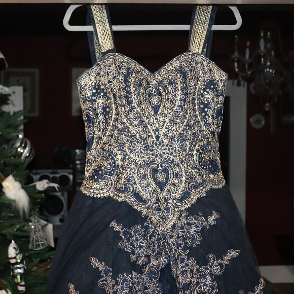 QUINCEANERA DRESS (PLUS DOLL, BOUQUET,  PHOTO ALBUM, HAIR PIN) - Picture 4 of 13